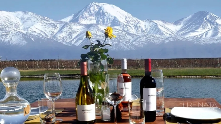 Full Day Valle de Uco